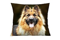 Alsatian