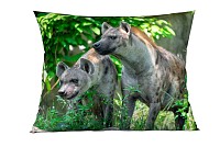Hyena