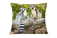 Lemur
