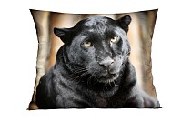 Panter