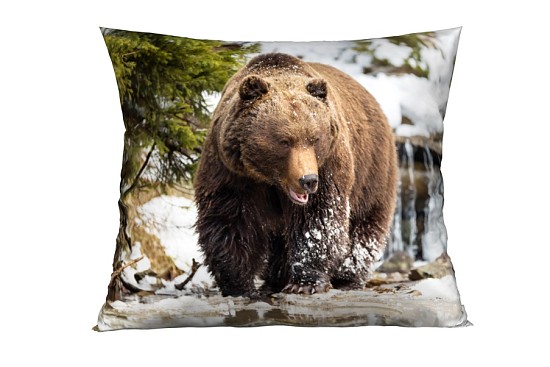 Bear díszpárnahuzatok