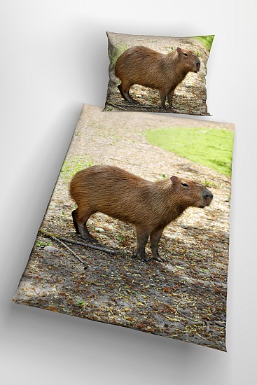 Capybara