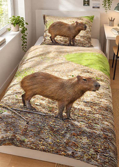 Capybara