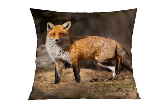 Fox díszpárnahuzatok