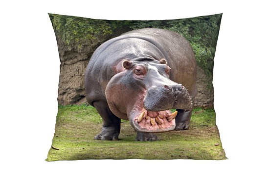 Hippo díszpárnahuzatok