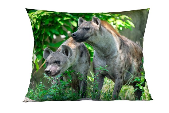 Hyena díszpárnahuzatok