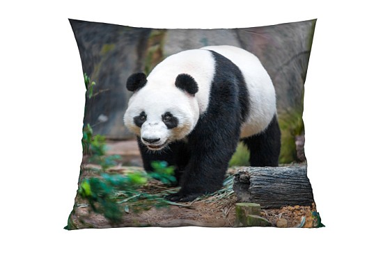 Panda díszpárnahuzatok