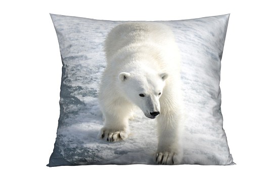 Polar Bear díszpárnahuzatok