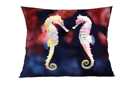 Seahorse díszpárnahuzatok