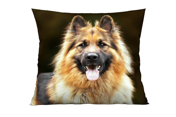 Alsatian