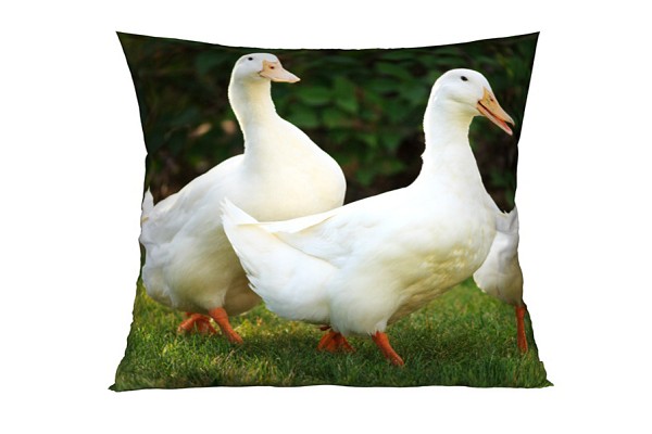 Goose