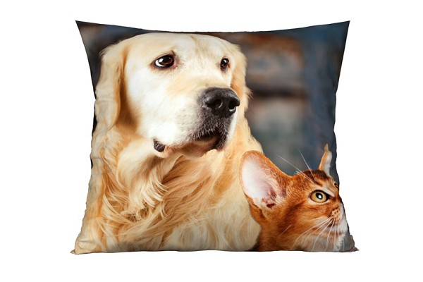 Labrador
