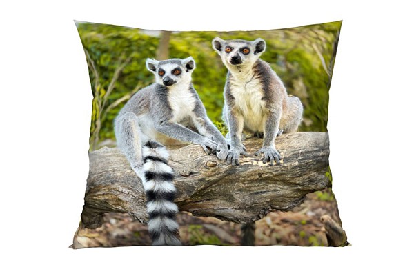 Lemur
