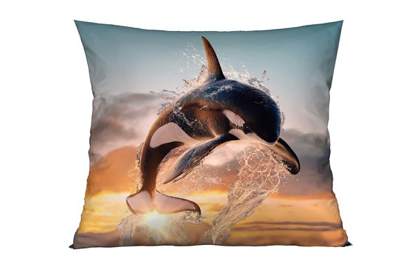 Orca